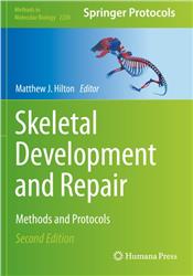 Cover Skeletal Development and Repair