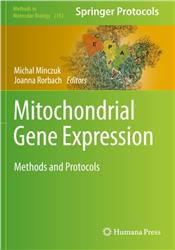 Cover Mitochondrial Gene Expression