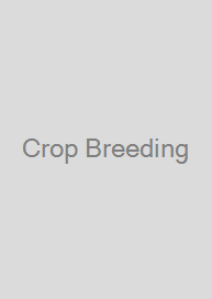 Crop Breeding