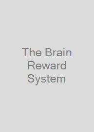 The Brain Reward System