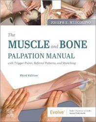 Cover The Muscle and Bone Palpation Manual with Trigger Points, Referral Patterns and Stretching