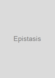Epistasis