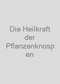 Cover Die Heilkraft der Pflanzenknospen
