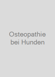 Osteopathie bei Hunden