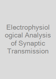 Electrophysiological Analysis of Synaptic Transmission