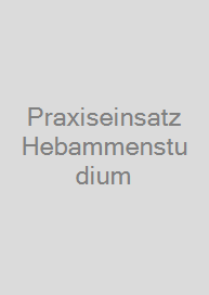 Praxiseinsatz Hebammenstudium