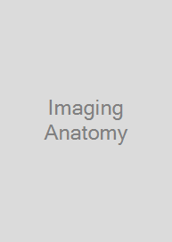 Imaging Anatomy