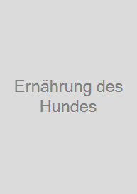 Ernährung des Hundes