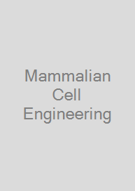 Mammalian Cell Engineering