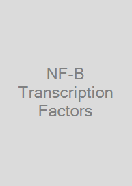Cover NF-B Transcription Factors