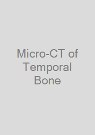 Cover Micro-CT of Temporal Bone