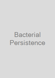 Cover Bacterial Persistence