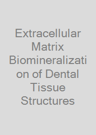 Cover Extracellular Matrix Biomineralization of Dental Tissue Structures