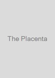 The Placenta