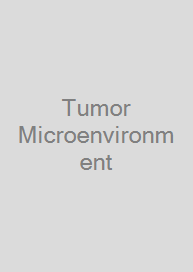 Tumor Microenvironment