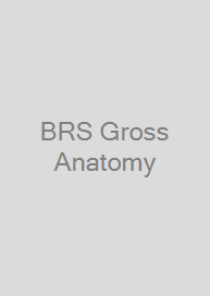 BRS Gross Anatomy