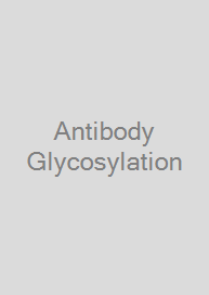 Cover Antibody Glycosylation