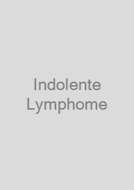 Indolente Lymphome