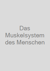 Das Muskelsystem des Menschen