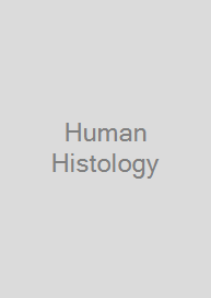 Human Histology