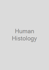 Cover Human Histology