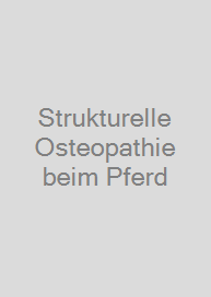 Strukturelle Osteopathie beim Pferd