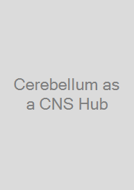 Cover Cerebellum as a CNS Hub