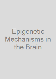 Cover Epigenetic Mechanisms in the Brain