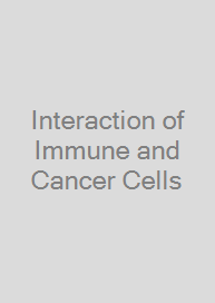 Interaction of Immune and Cancer Cells