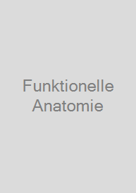 Funktionelle Anatomie