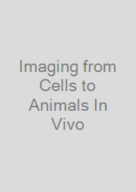 Imaging from Cells to Animals In Vivo