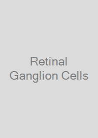 Retinal Ganglion Cells