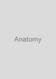 Anatomy & Physiology Made Incredibly Easy!
