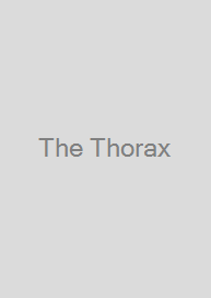 Cover The Thorax