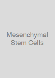 Cover Mesenchymal Stem Cells