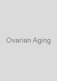 Ovarian Aging