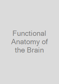 Cover Functional Anatomy of the Brain