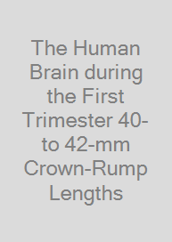 The Human Brain during the First Trimester 40- to 42-mm Crown-Rump Lengths