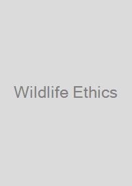 Wildlife Ethics