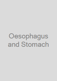 Oesophagus and Stomach