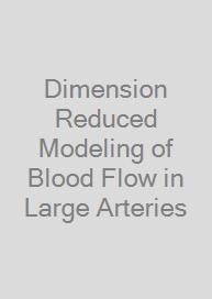 Dimension Reduced Modeling of Blood Flow in Large Arteries