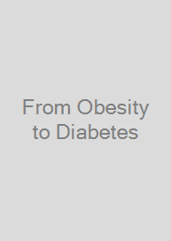 Cover From Obesity to Diabetes