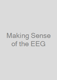 Making Sense of the EEG