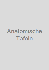 Anatomische Tafeln