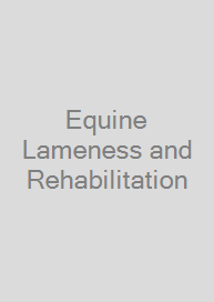 Cover Equine Lameness and Rehabilitation