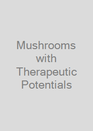 Mushrooms with Therapeutic Potentials