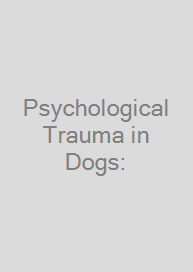Cover Psychological Trauma in Dogs: