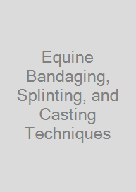 Equine Bandaging, Splinting, and Casting Techniques