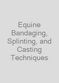 Cover Equine Bandaging, Splinting, and Casting Techniques