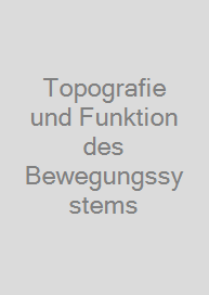 Topografie und Funktion des Bewegungssystems